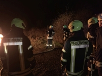 19 03 27 19 52 56 0242 mini